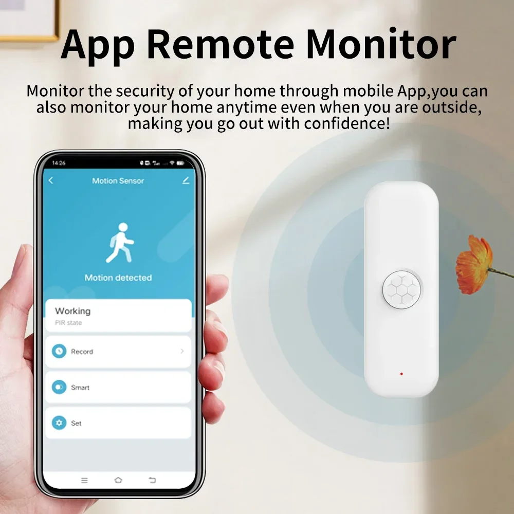 Tuya Sensor gerak WiFI PIR tub - Home Assistant Tuya ulasan dan harga